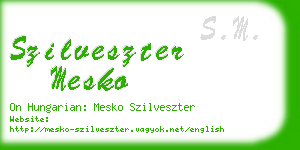 szilveszter mesko business card